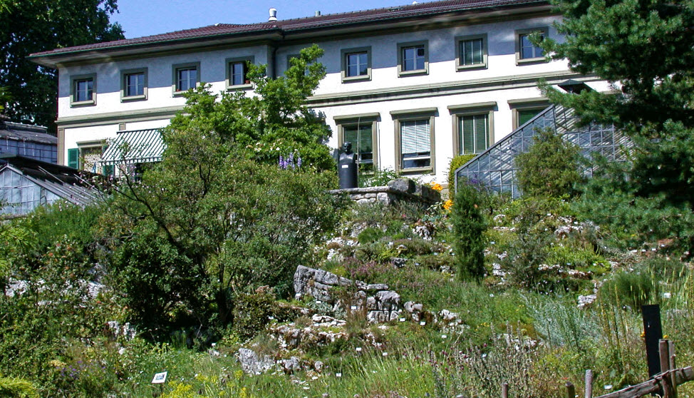 Botanical Garden of University of Bern, Bern, Switzerland, Switzerland